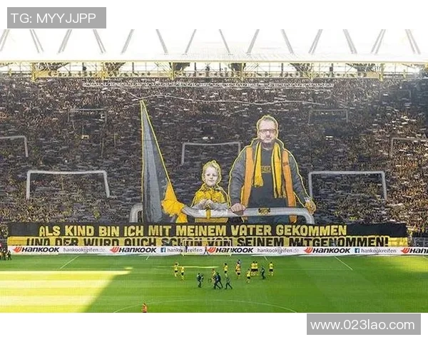 《通过球场风采与技术分析辨识足球巨星的独特魅力》 《通过球场风采与技术分析辨识足球巨星的独特魅力》