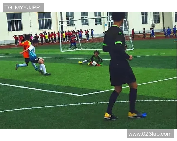 球星退役后的精彩人生：从绿茵场到各行各业的精彩转型