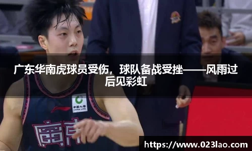 bg视讯app下载