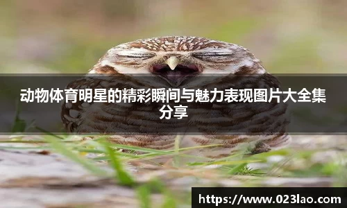 BG视讯